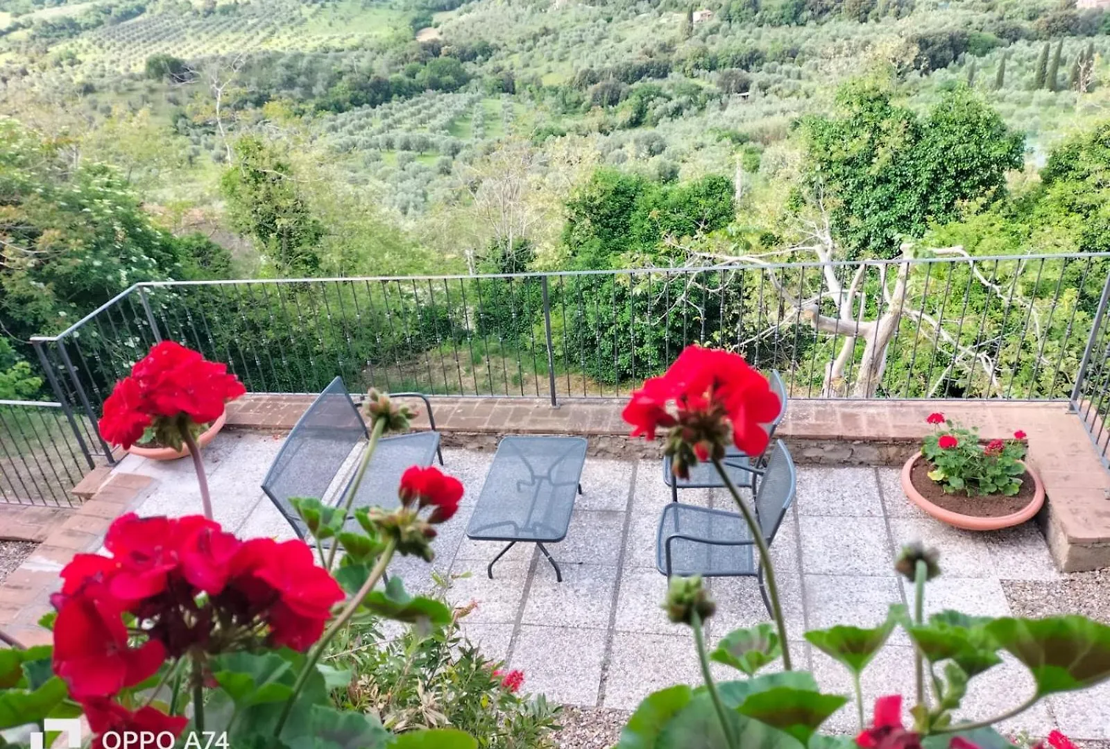 Tenuta Di Montemassi Fattoria Italie
